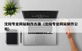 宝鸡沈阳专业网站制作方案（沈阳专业网站制作公司）